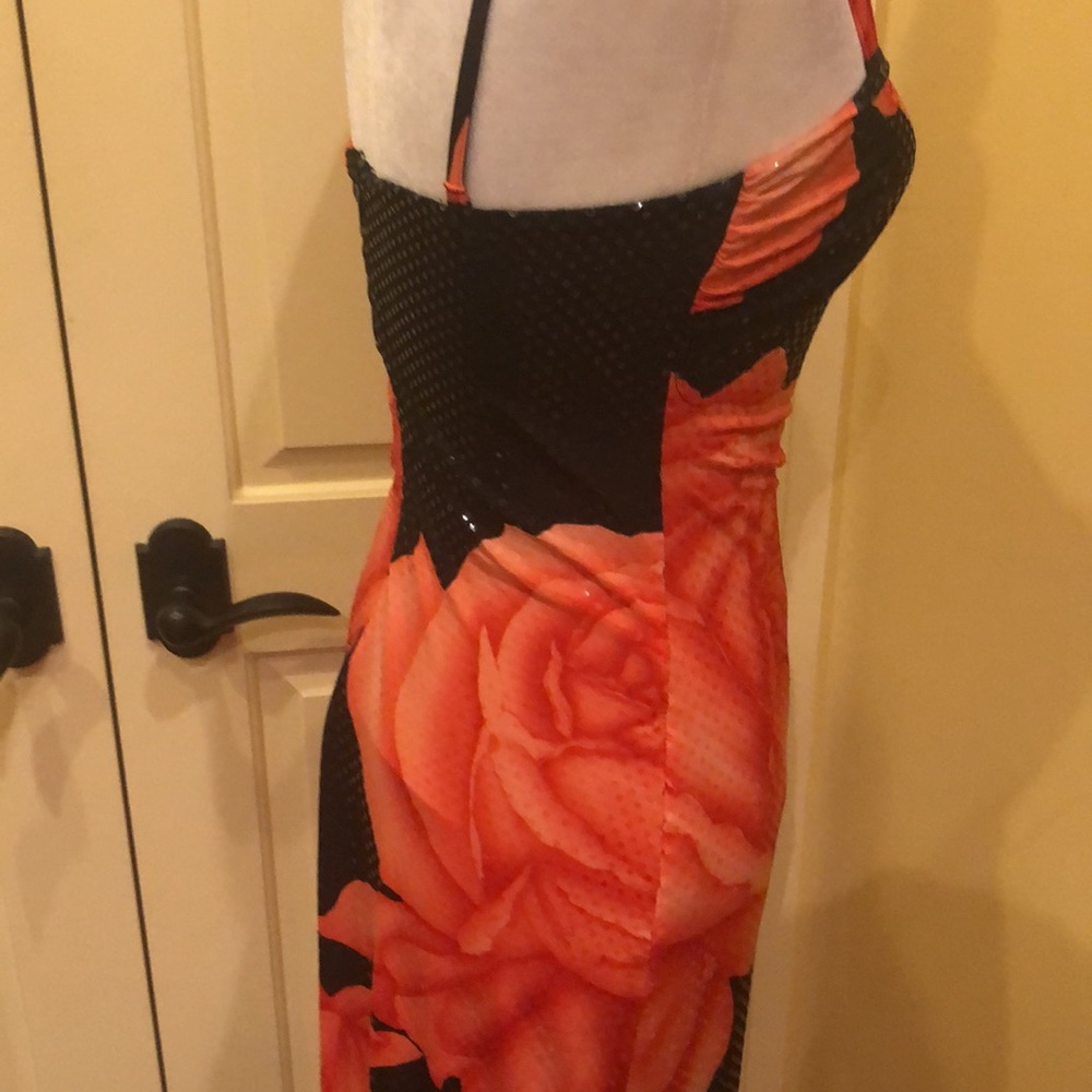 Cache dress - Picture 13 of 13